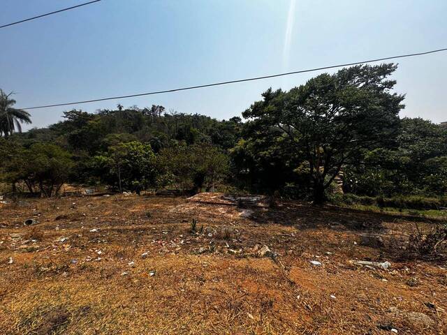 #7 - Área para Venda em Ribeirão das Neves - MG - 3