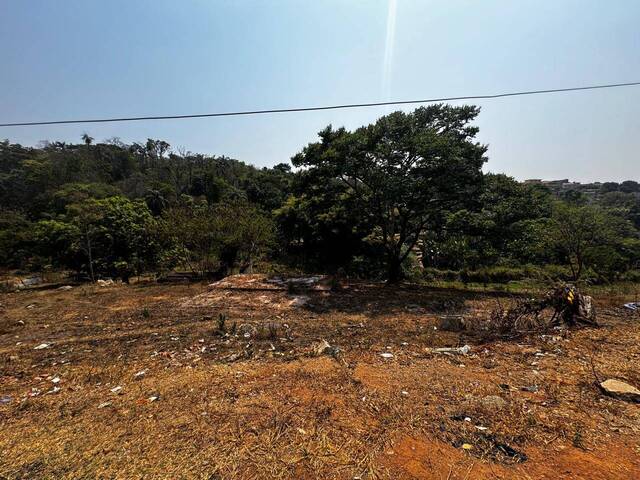 Área para Venda em Ribeirão das Neves - 4